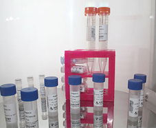 引進美國生物工程前沿技術，打造高科技生物制品研發新生態