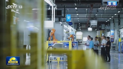 以生物科技研發為引擎，加速新質生產力發展，夯實高質量發展根基