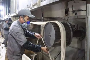 創新驅動，綠色賦能——阿拉爾中泰紡織科技公司毛型纖維新產品成功下線