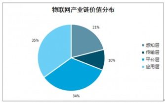 2021-2027年中國重點城市物聯(lián)網(wǎng)應用服務行業(yè)深度調(diào)查與投資前景分析報告