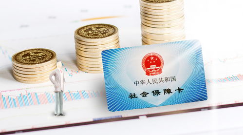 軟件開發(fā)人員公司職工社會(huì)保險(xiǎn)年度費(fèi)用分析